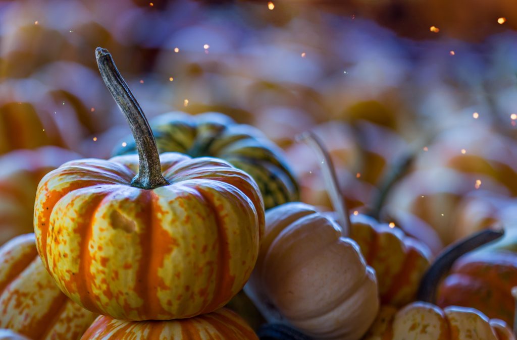 Gourds